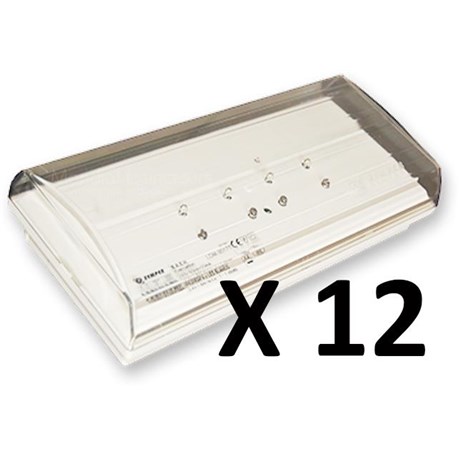 Carton de 12 BAES standard "habitation" TOUT LED modèle DIANA 6 IP42 IK04