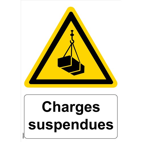 Panneau "Charges suspendues" - PVC A5