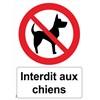 Panneau "Interdit aux chiens" - PVC A5