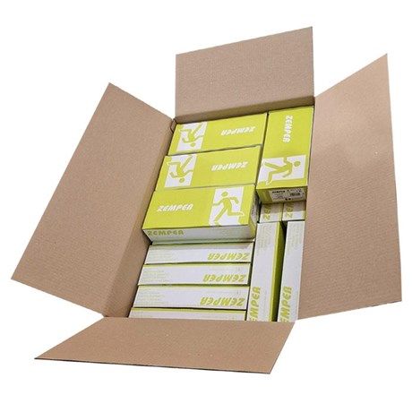 Carton de 18 BAES "Evacuation" Tout LED - 24 euros / Pièce