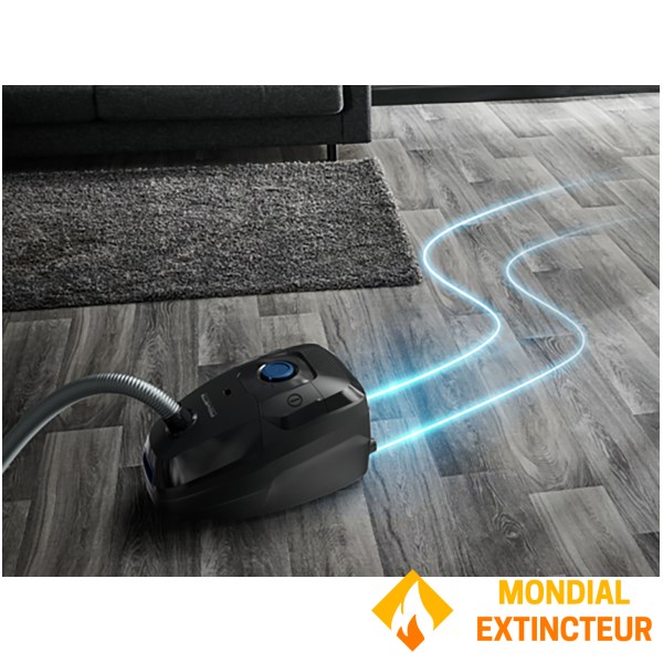 Rowenta - Aspirateur traineau avec sac Green force max