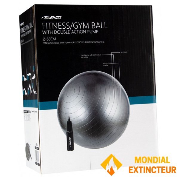 Avento - Ballon de gym SWISS BALL AVEC POMPE - M - 65 CM gris