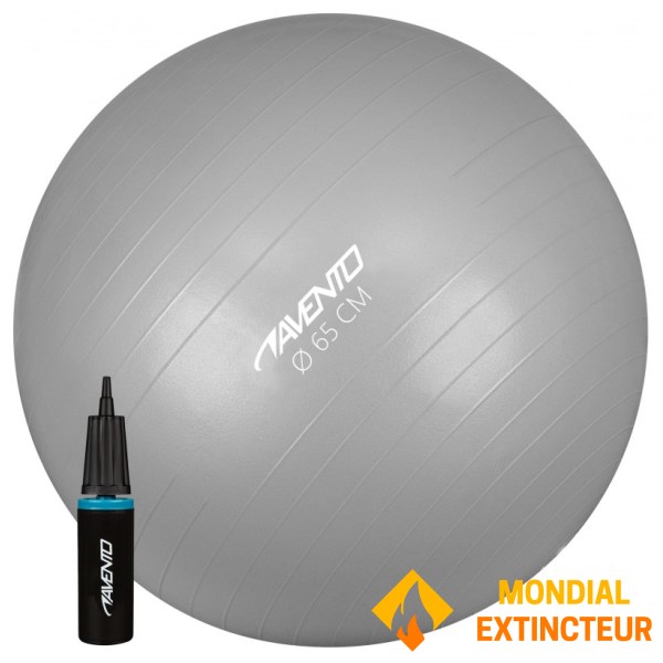 Avento - Ballon de gym SWISS BALL AVEC POMPE - M - 65 CM gris
