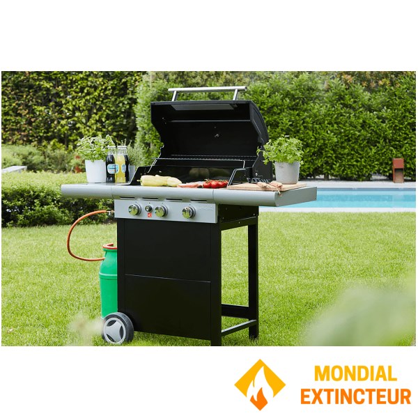 Barbecook - Barbecue à gaz Spring 3112