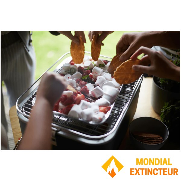 Barbecook - Barbecue de table Carlo urban gris