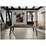 Rene-Pierre - Table de billard Steel Chêne drap gris