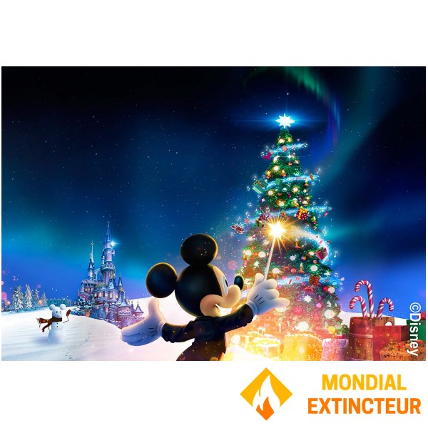 Disneyland Paris - Billet Disneyland Paris Billet 1 jour 2 parcs