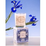 Panier des sens - Bougie parfumée Pétales d’Iris - 180 g