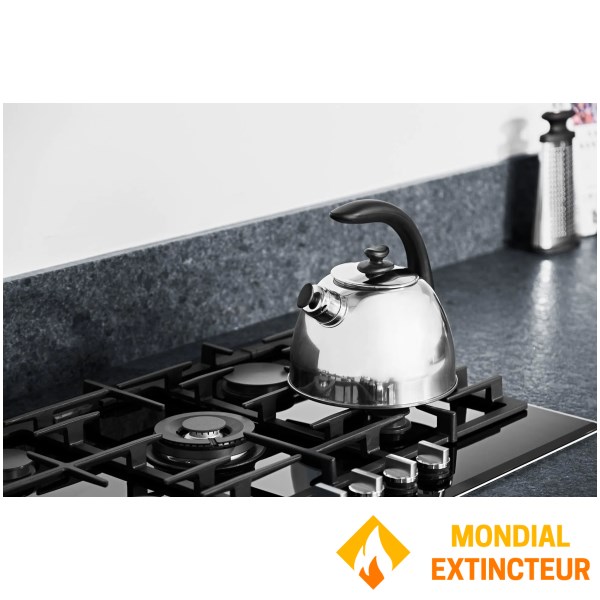 Berghoff - Bouilloire  Lucia 2,5L