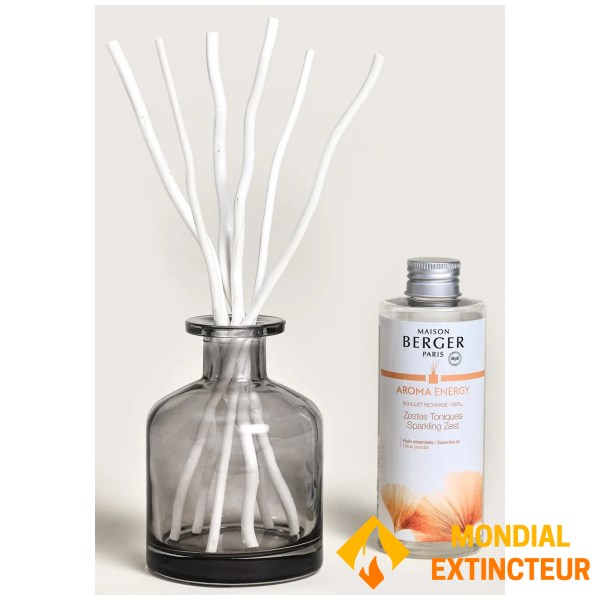 Lampe Berger - Bouquet parfumé Aroma energy