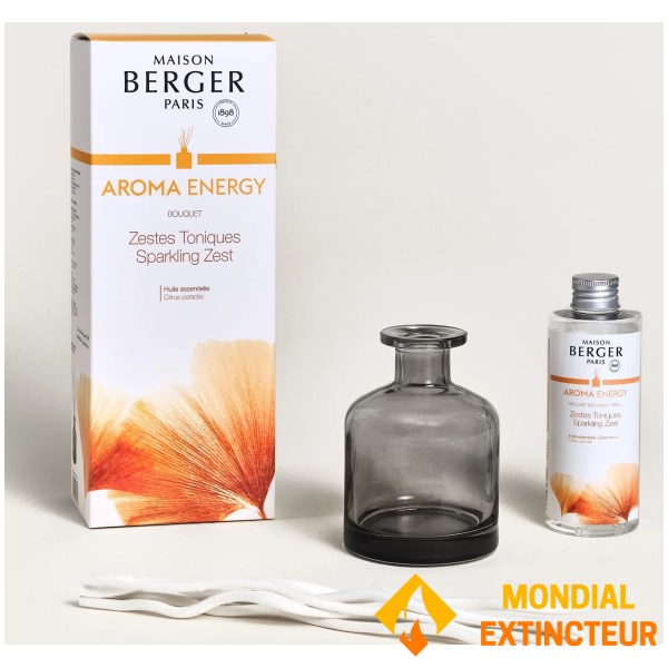Lampe Berger - Bouquet parfumé Aroma energy