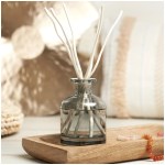 Lampe Berger - Bouquet parfumé Aroma energy