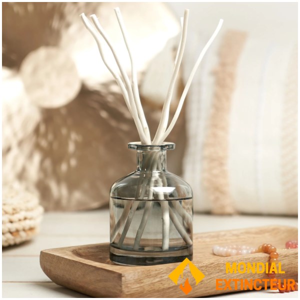 Lampe Berger - Bouquet parfumé Aroma energy