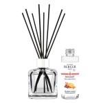 Lampe Berger - Bouquet parfumé Orange de Canelle