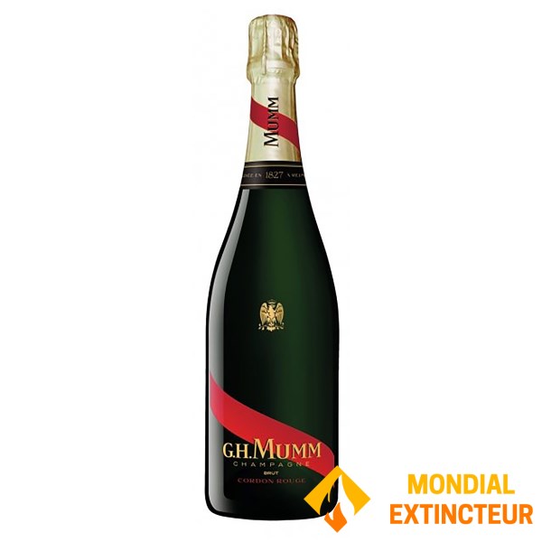 Mumm - Carton de 6 bouteilles de champagne Cordon rouge