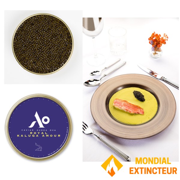 Aurea-ova - Caviar Royal Kaluga Amour 50 g
