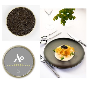Aurea-ova - Caviar Royal Oscietra 125 g