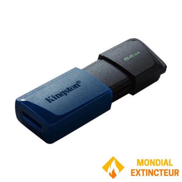 Kingston - Clé USB DataTraveler - 64 Go