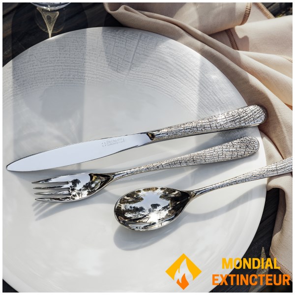 Degrenne - Coffret 24 couverts Aquatic Supernature miroir