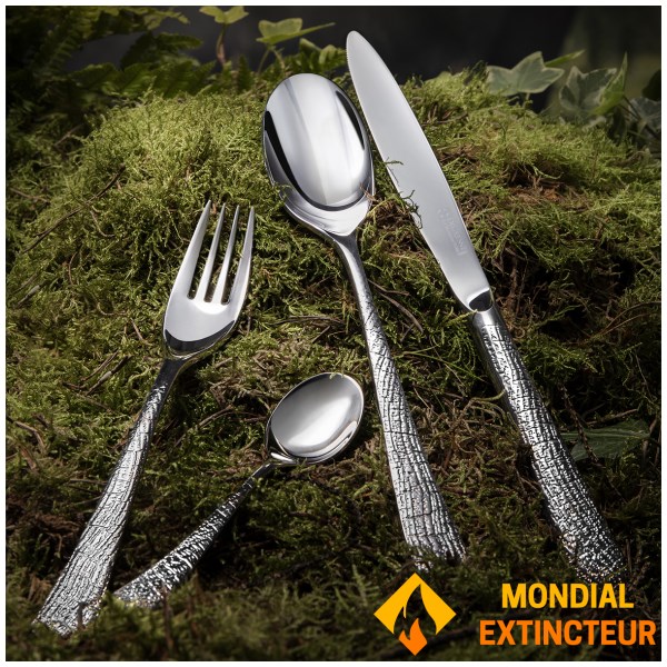 Degrenne - Coffret 24 couverts Aquatic Supernature miroir