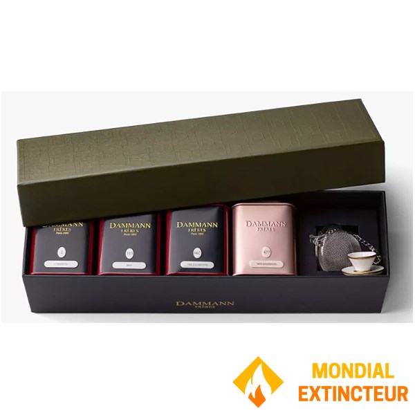 Dammann - Coffret Thé Jardin exotique - 4 x 30 g