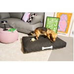 Fatboy - Coussin pour chien DoggieLounge Olefin - L - gris foncé