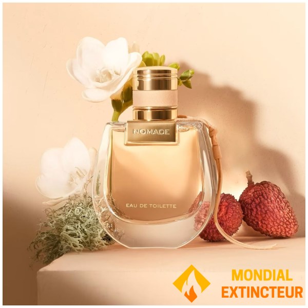 Chloé - Eau de toilette Nomade - 50 ml