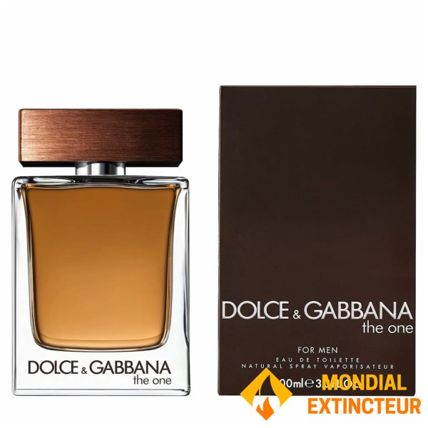 Dolce et Gabbana - Eau de toilette The One Men - 100 ml