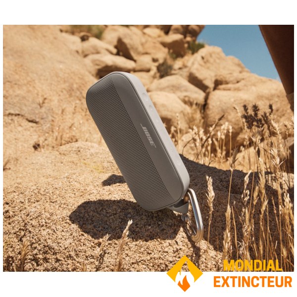 Bose - Enceinte bluetooth Soundlink flex 2nd gen grès