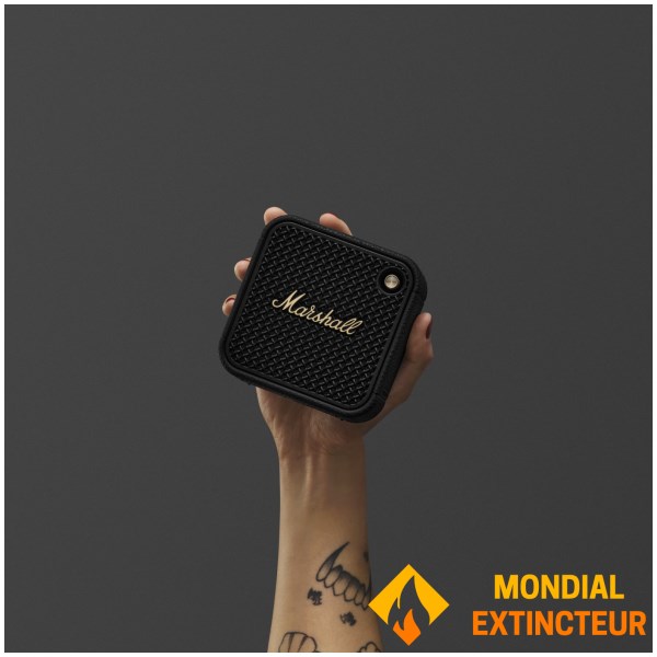 Marshall - Enceinte bluetooth Willen II - Noir