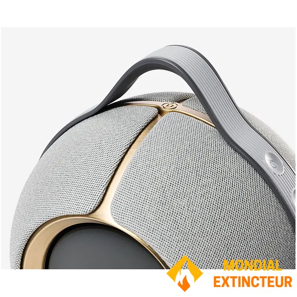 Devialet - Enceinte portable Bluetooth Mania Opéra - Gold