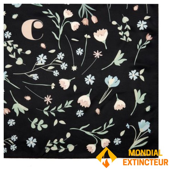 Cacharel - Foulard Ambre noir