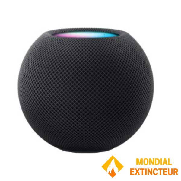 Apple - Haut-parleur intelligent HomePod mini noir minuit