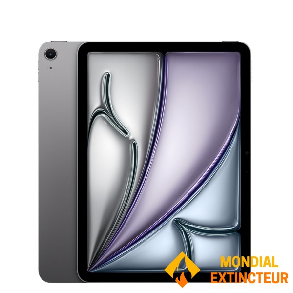 Apple - iPad air 11" Wi-Fi 128 Go - Gris sidéral