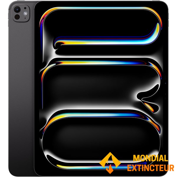 Apple - Ipad Pro 11’’ Wi-Fi + Cellular 512 G Noir sidéral