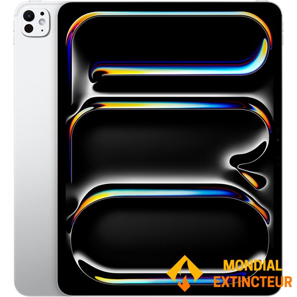 Apple - Ipad Pro 13’’ Wi-Fi 256 Go verre standard - argent