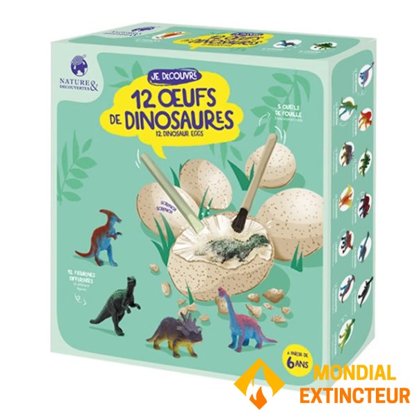 Nature et decouvertes - Jeux Coffret oeufs dinosaures à excaver