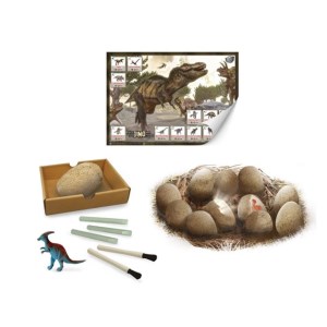 Nature et decouvertes - Jeux Coffret oeufs dinosaures à excaver