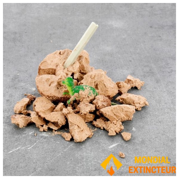 Nature et decouvertes - Jeux Coffret oeufs dinosaures à excaver