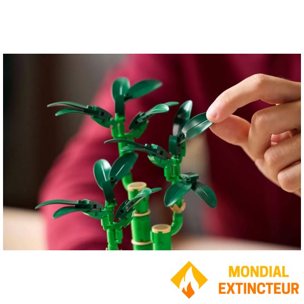 Lego - Jeux de construction Le bambou de la chance