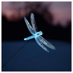 Nature et decouvertes - Luminaire solaire Libellule sur pique