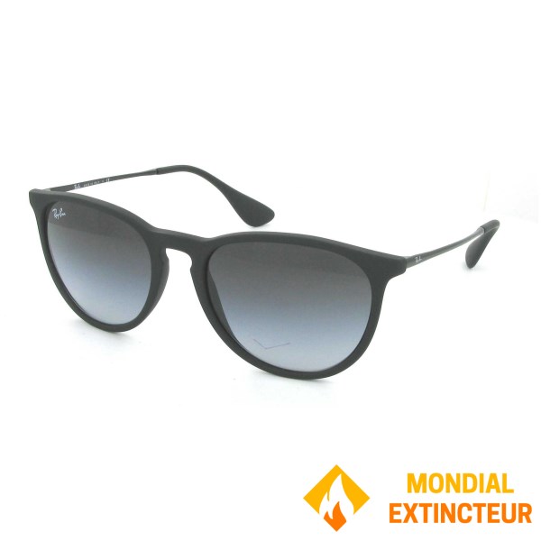 Rayban - Lunettes de soleil Erika Rubber Black