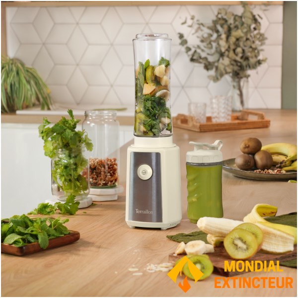 Terraillon - Mini-blender SUNRISE - 2 Gourdes 600 & 300 ml