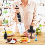 Moulinex - Mixeur plongeant Infinity Force