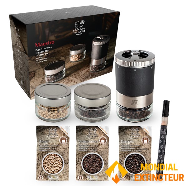 Peugeot PSP - Moulin à poivres Coffret Maestro - 10 cm