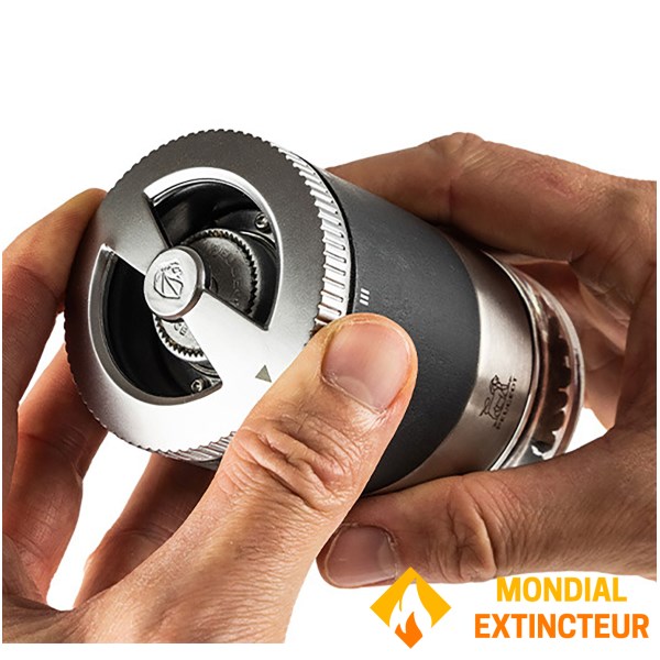 Peugeot PSP - Moulin à poivres Coffret Maestro - 10 cm