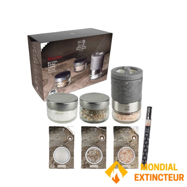 Peugeot PSP - Moulin à sel Coffret Maestro - 11 cm