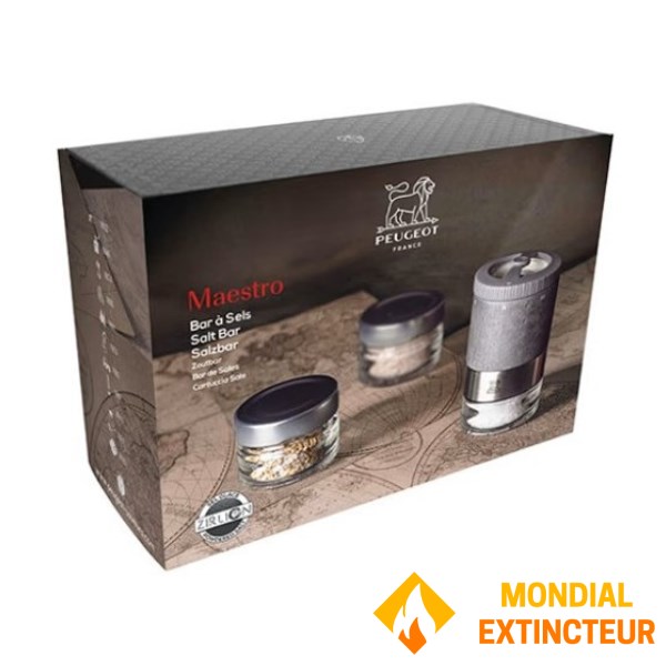 Peugeot PSP - Moulin à sel Coffret Maestro - 11 cm