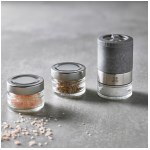 Peugeot PSP - Moulin à sel Coffret Maestro - 11 cm