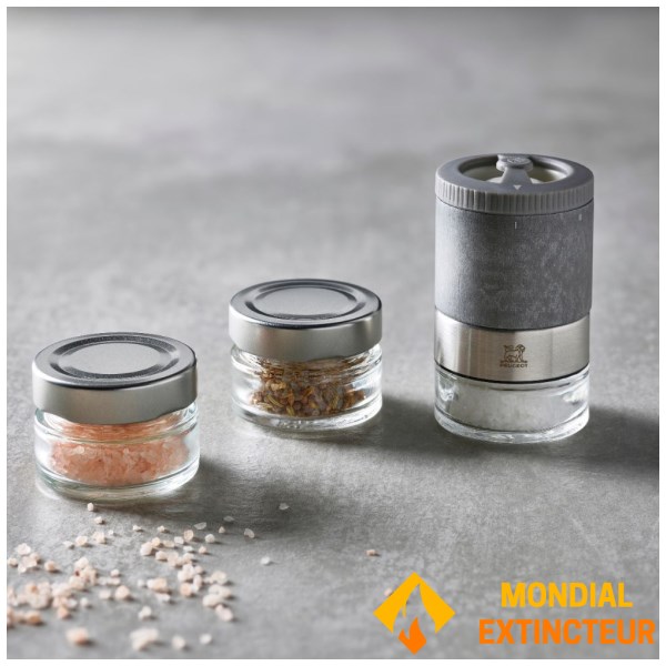 Peugeot PSP - Moulin à sel Coffret Maestro - 11 cm